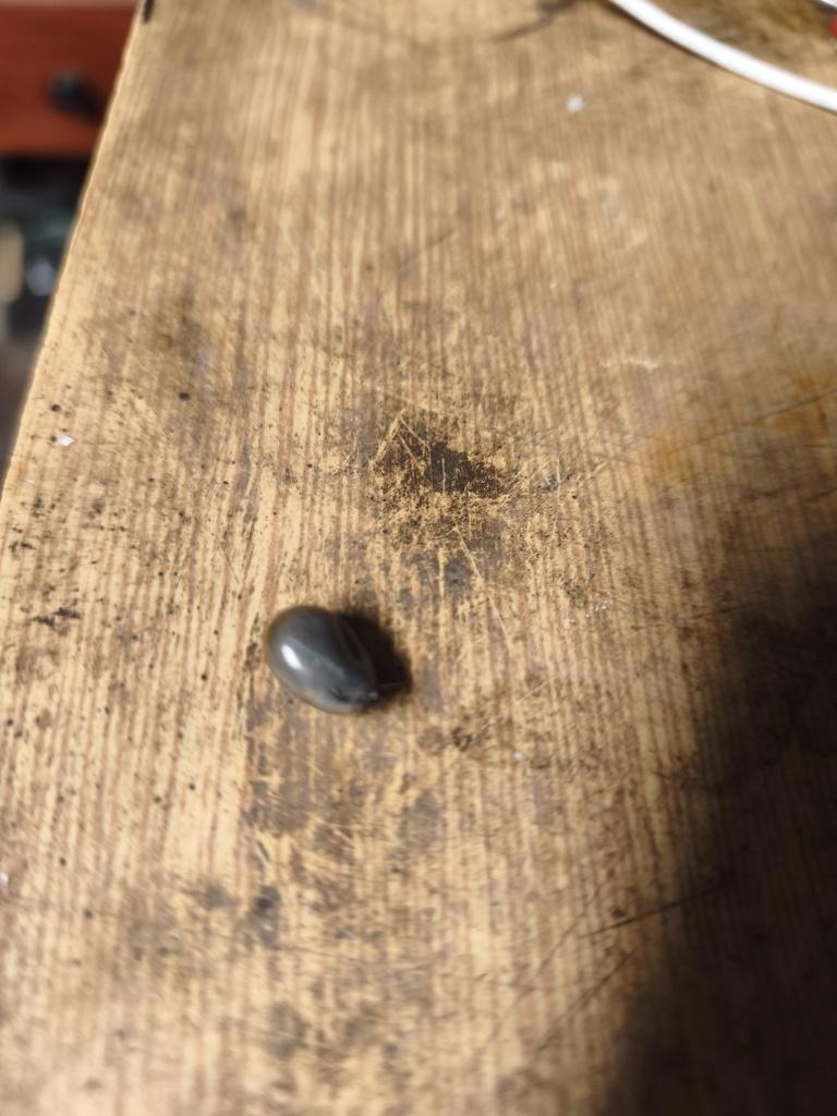 Tick