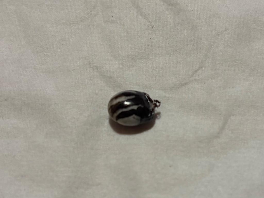 Tick