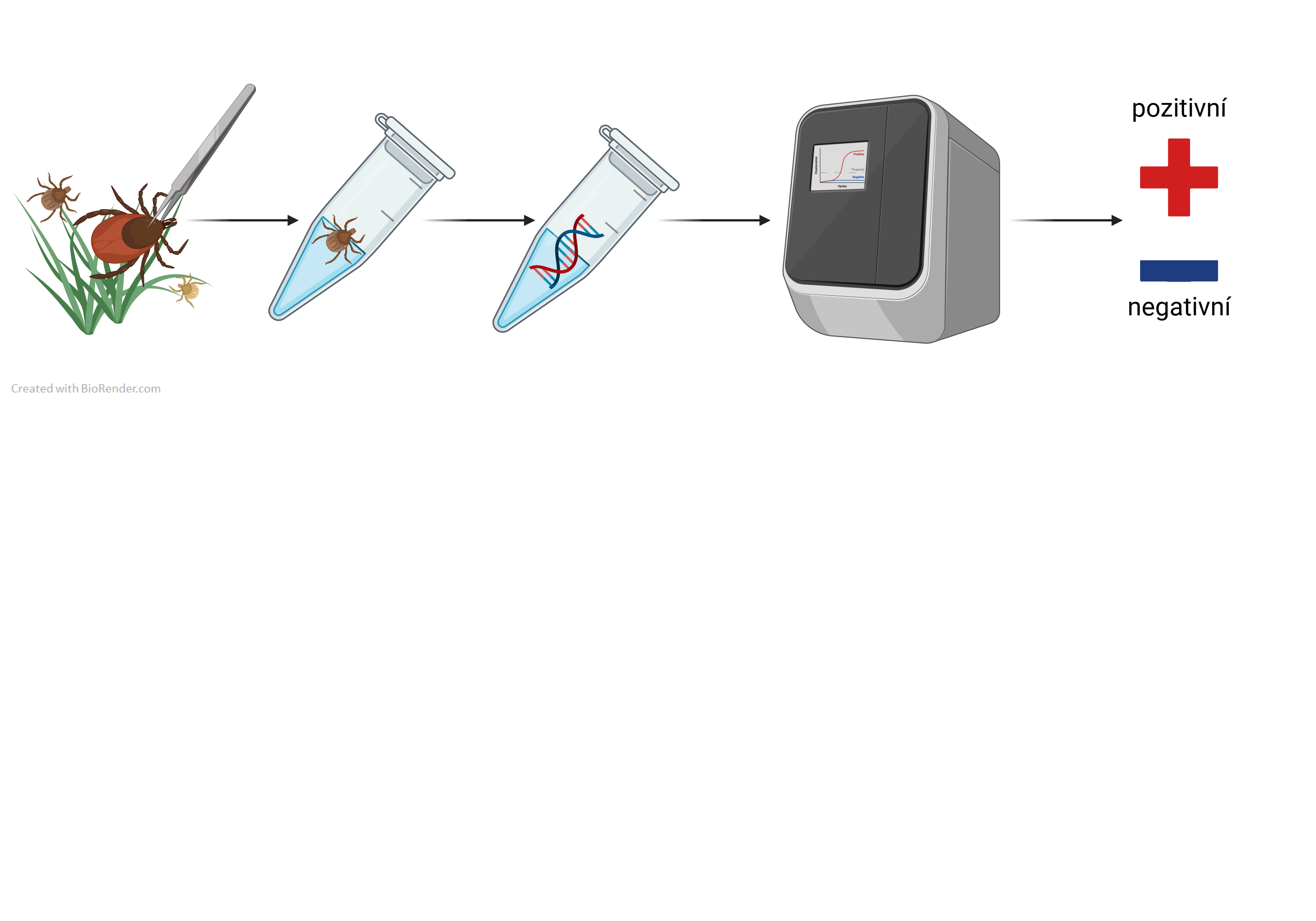 PCR testování