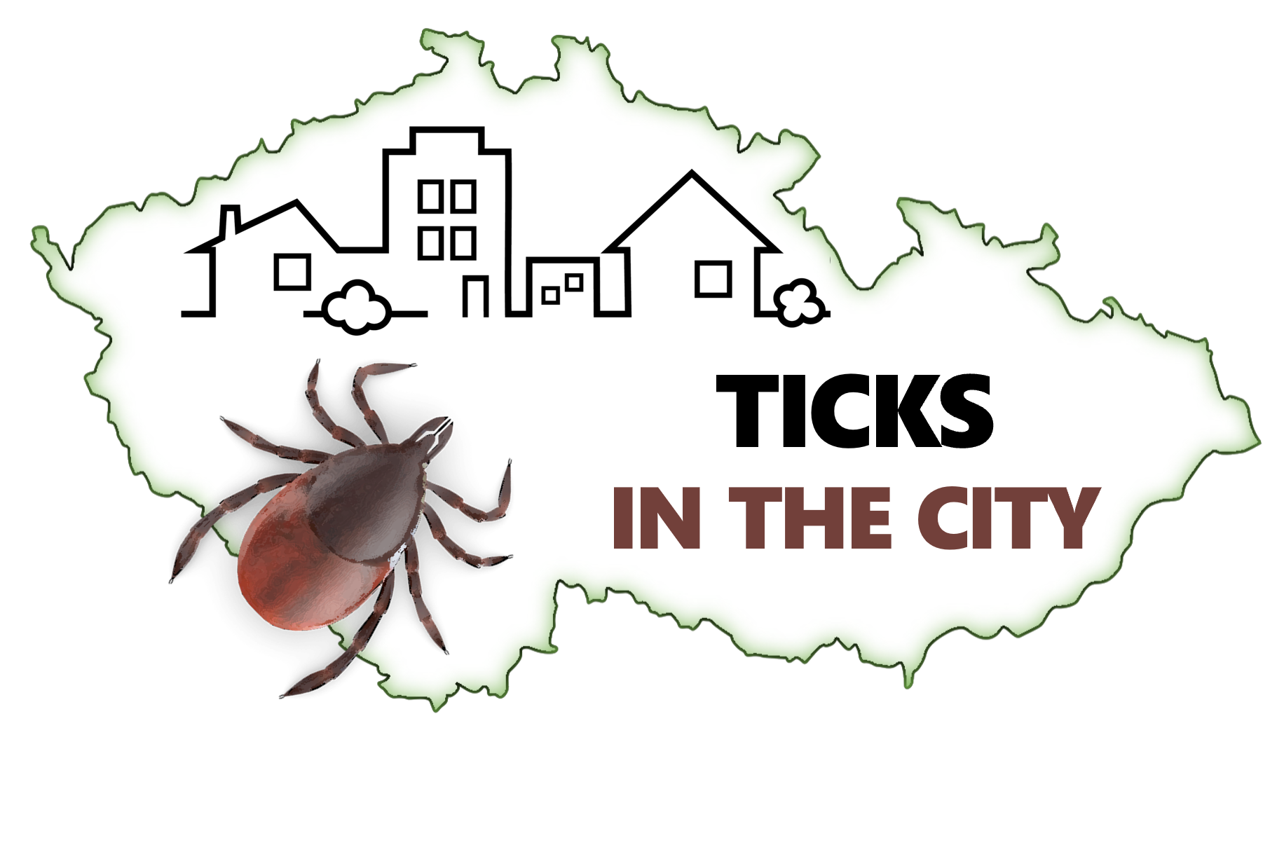 Ticks in the City