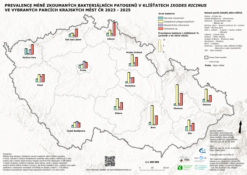 Prevalence méně zkoumaných bakteriálních patogenů v klíšťatech Ixodes ricinus ve vybraných parcích krajských měst ČR 2023–2025